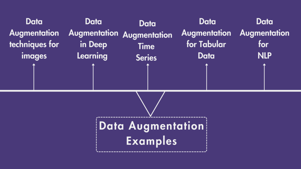 Data Augmentation Examples