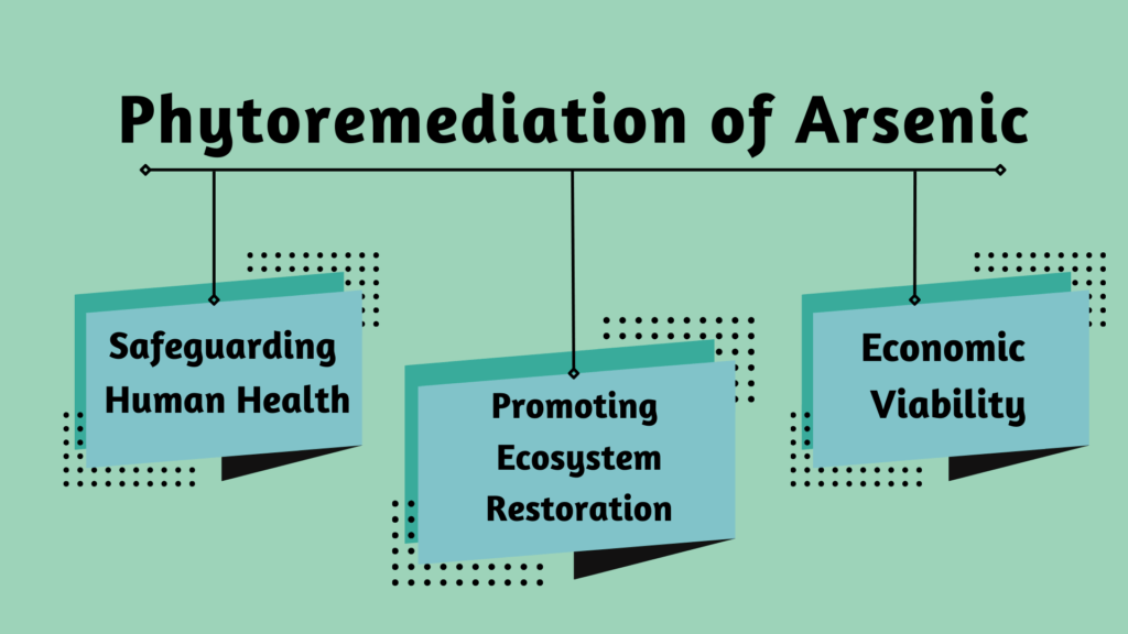 Phytoremediation of Arsenic